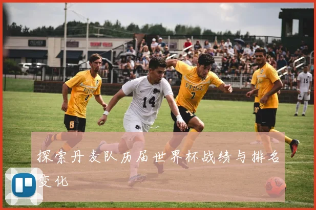 探索丹麦队历届世界杯战绩与排名变化