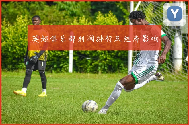 英超俱乐部利润排行及经济影响