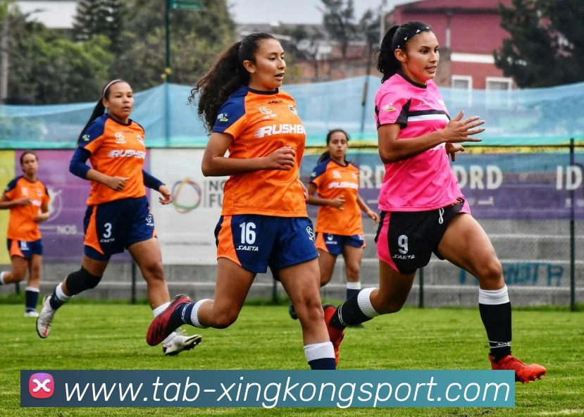 星空体育服务体系